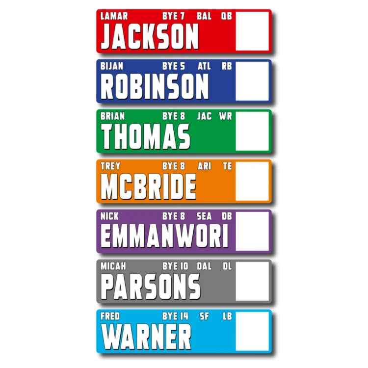 LARGE AUCTION Fantasy Football - PLAYER STICKERS ONLY