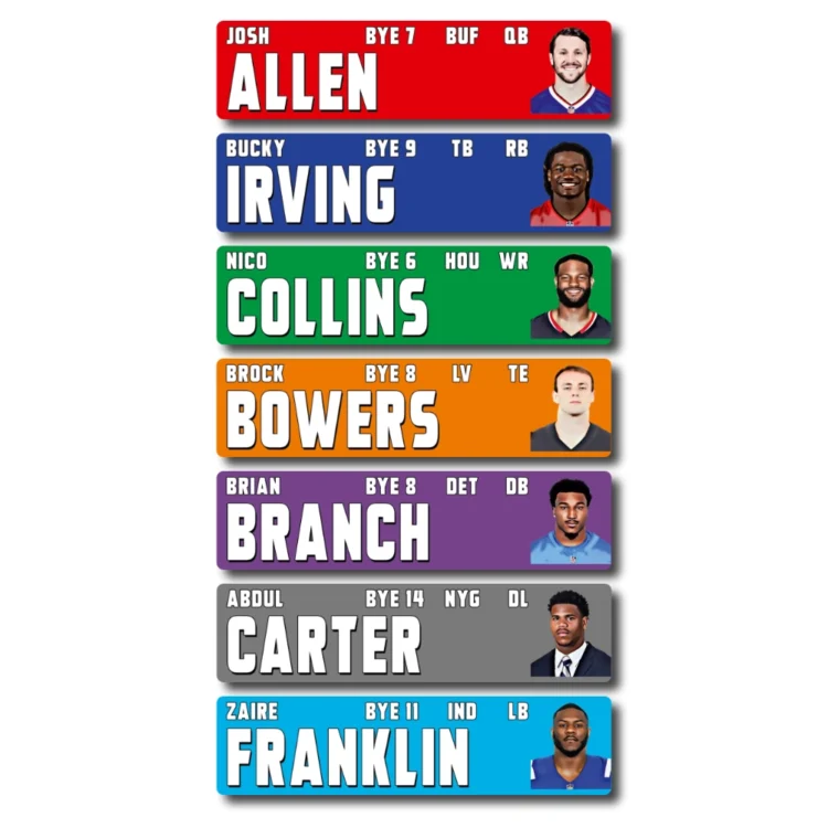 LARGE IMAGE Fantasy Football - PLAYER STICKERS ONLY