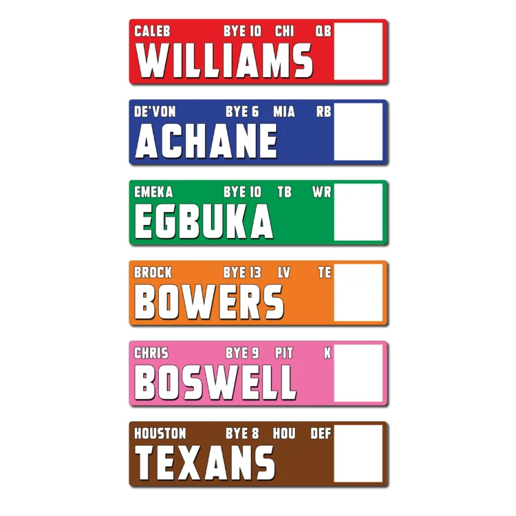 Fantasy Football Draft - NEW for 2026 - LARGE AUCTION - STICKERS ONLY