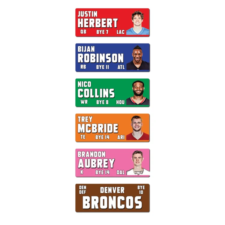 Fantasy Football Draft - NEW for 2026 - MEDIUM IMAGE - STICKERS ONLY
