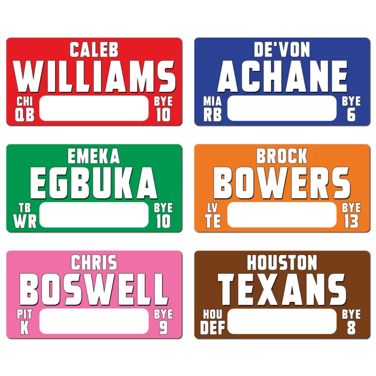 Fantasy Football Draft - NEW for 2026 - X-LARGE AUCTION - STICKERS ONLY