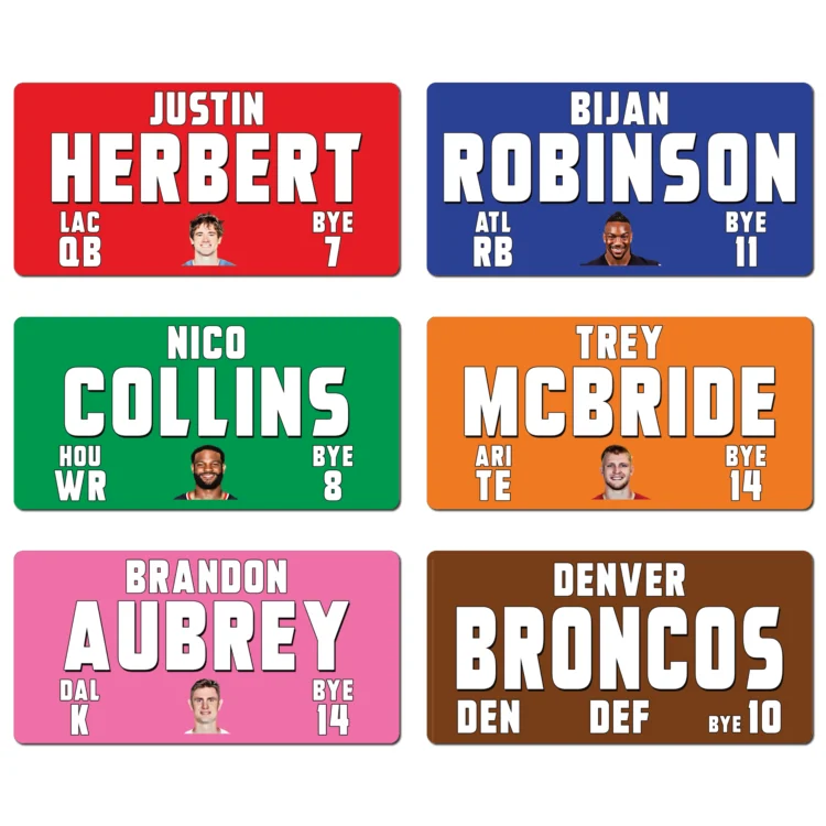 Fantasy Football Draft - NEW for 2026 - X-LARGE IMAGE - STICKERS ONLY